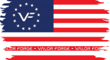 VF 13 Star Flag Red White Blue Decal