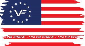 VF 13 Star Flag Red White Blue Decal